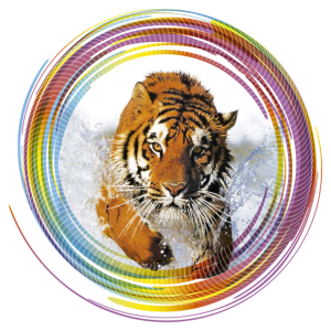 Logo-amvpublicidad-amv-publicidad-imprenta